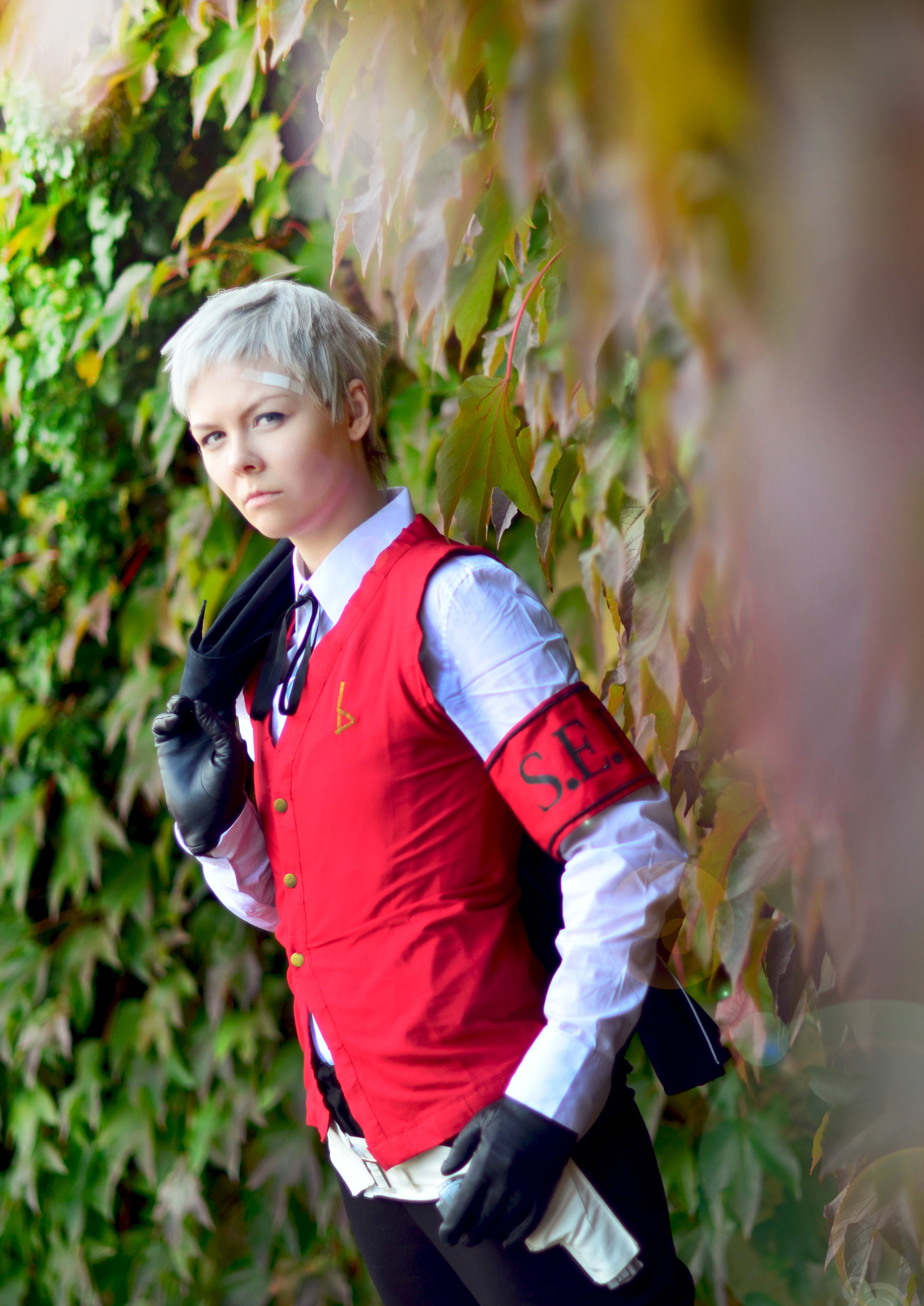 Cosplay-Cover: Akihiko Sanada