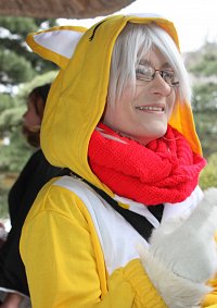 Cosplay-Cover: Fox Kigurumi