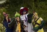 Top-3-Foto - von jozu