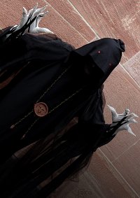 Cosplay-Cover: Qui Shen / Wraith