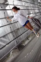 Cosplay-Cover: Tricia "Trillian" McMillan (Per Anhalter durch die
