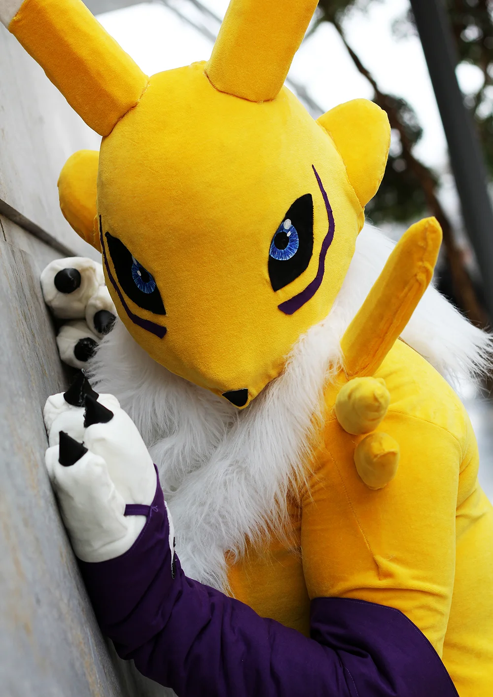 Cosplay-Cover: Renamon