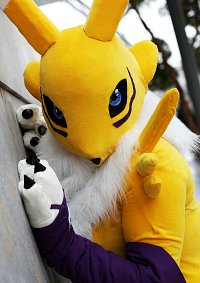 Cosplay-Cover: Renamon