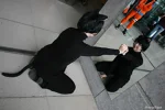 Cosplay-Cover: Ritsuka Aoyagi