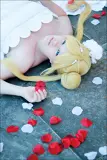 Top-3-Foto - von xjenpyon