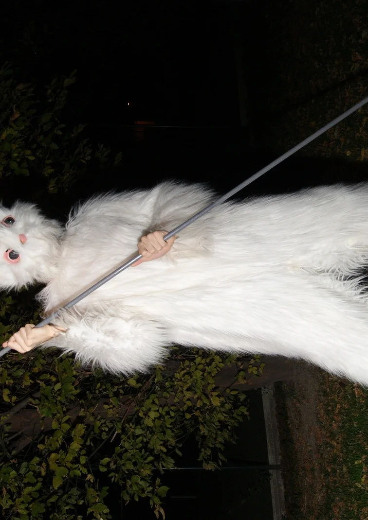 Cosplay-Cover: Hase