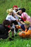 Top-3-Foto - von greencat