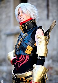 Cosplay-Cover: Haseo (2nd form)