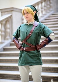 Cosplay-Cover: Link