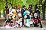 Top-3-Foto - von greencat