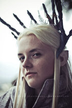 Cosplay-Cover: Thranduil