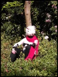 Top-3-Foto - von Mikado