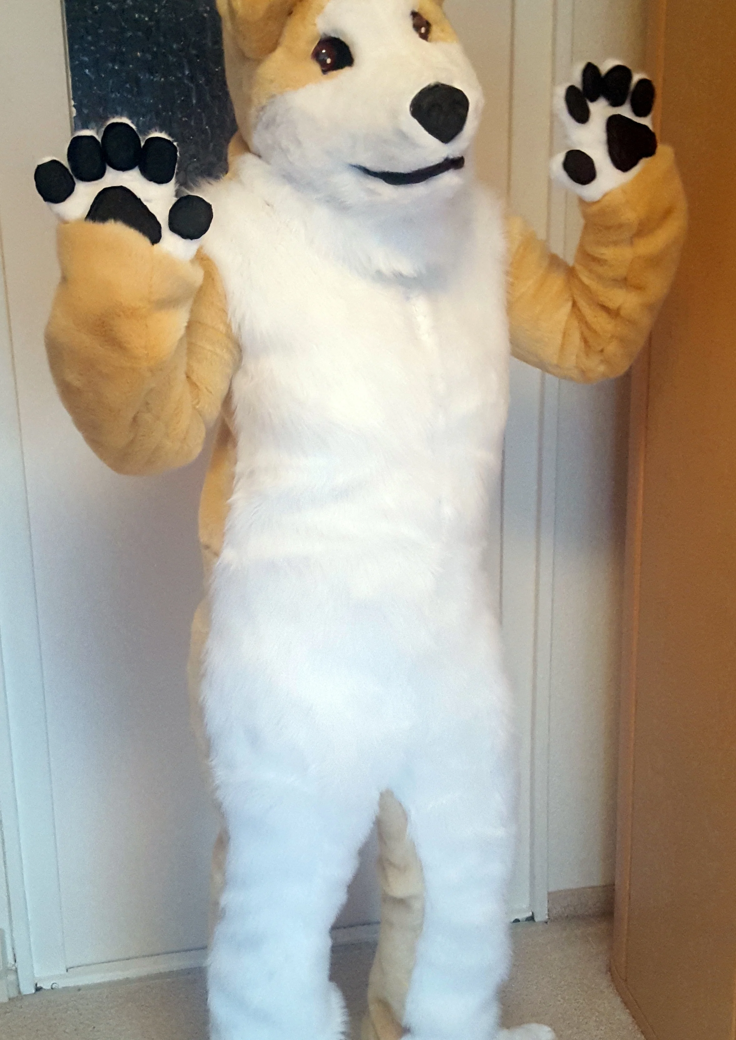 Cosplay-Cover: Hachiko