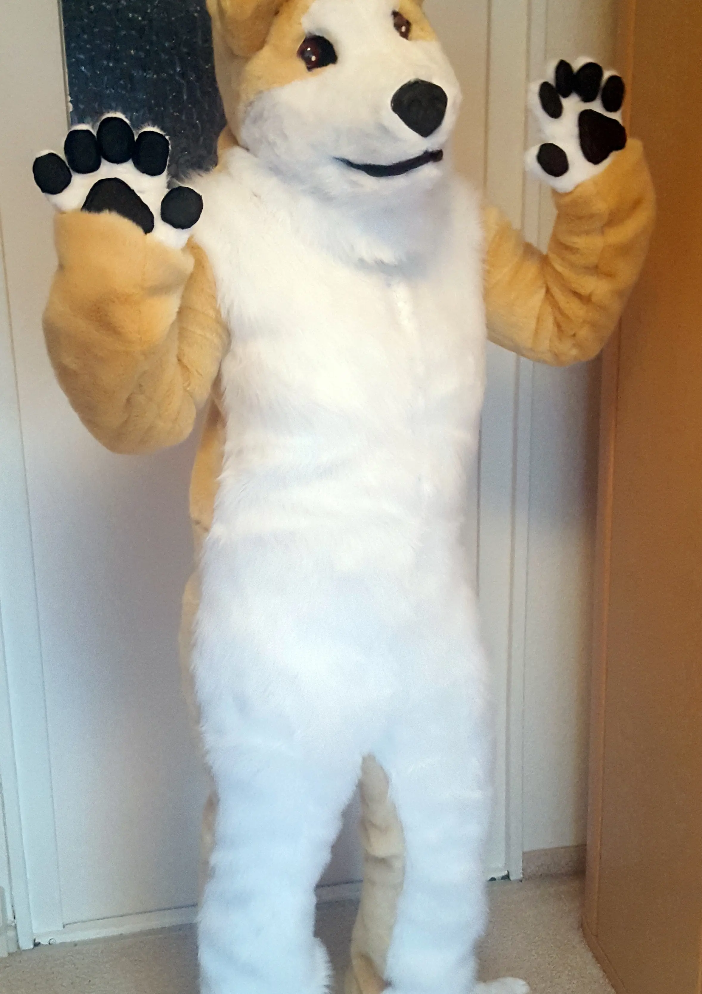 Cosplay-Cover: Hachiko