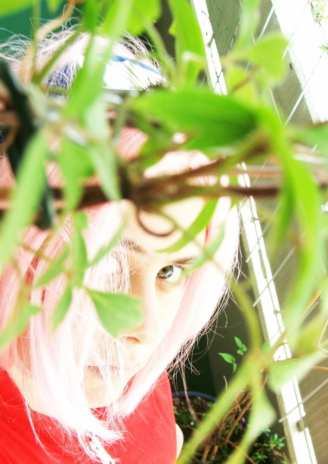 Cosplay-Cover: Haruno Sakura [Basic short]