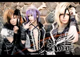 Top-3-Foto - von sweet-LEMON-broker