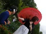 Top-3-Foto - von LostMaster