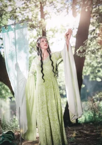 Cosplay-Cover: Arwen (Coronation Dress)