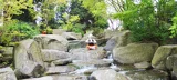 Top-3-Foto - von Monster