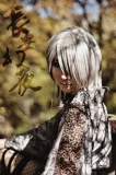 Top-3-Foto - von Kirin_S