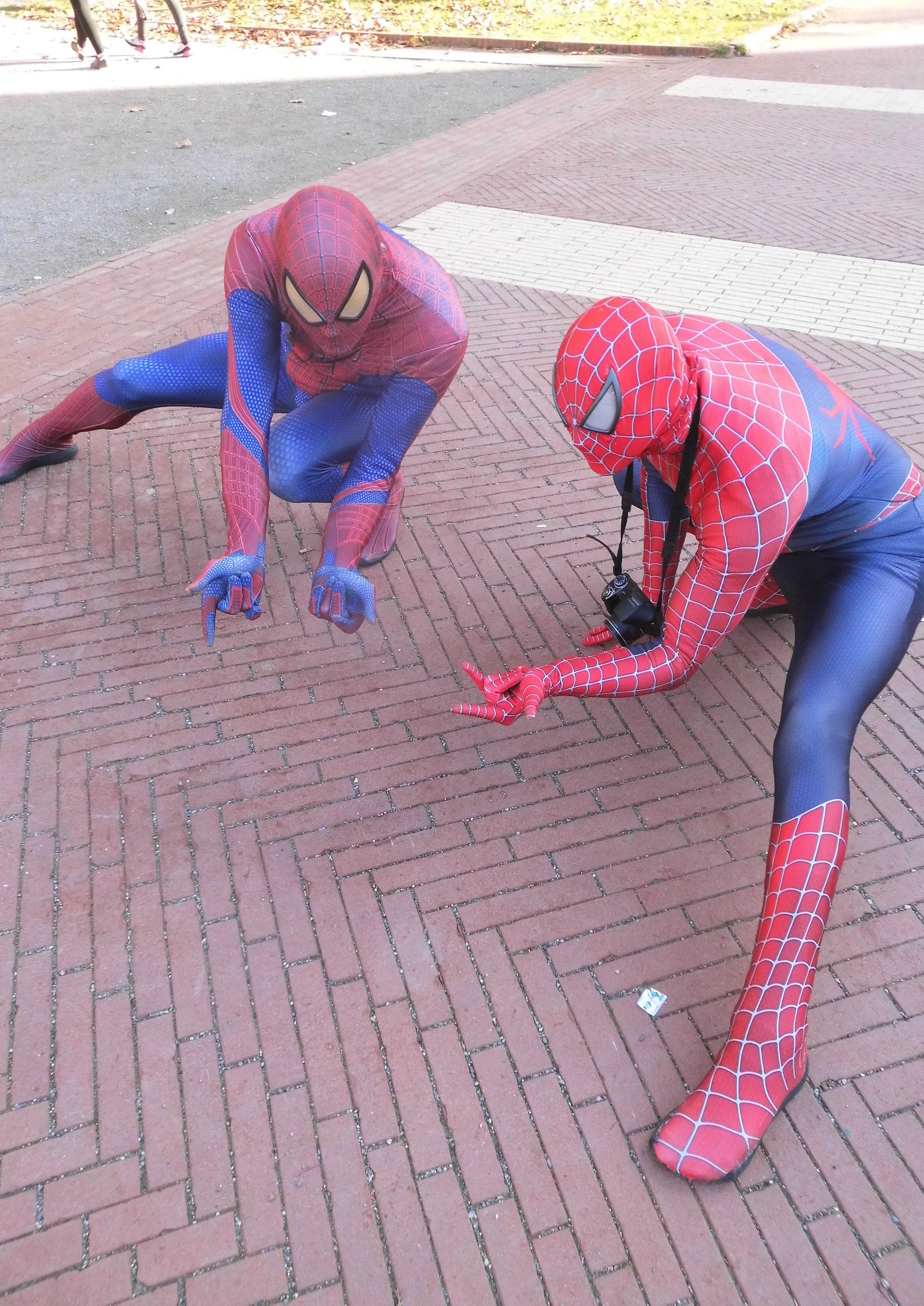 Cosplay-Cover: Spider-Man (Raimi Suit)