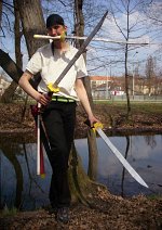 Cosplay-Cover: Zorro