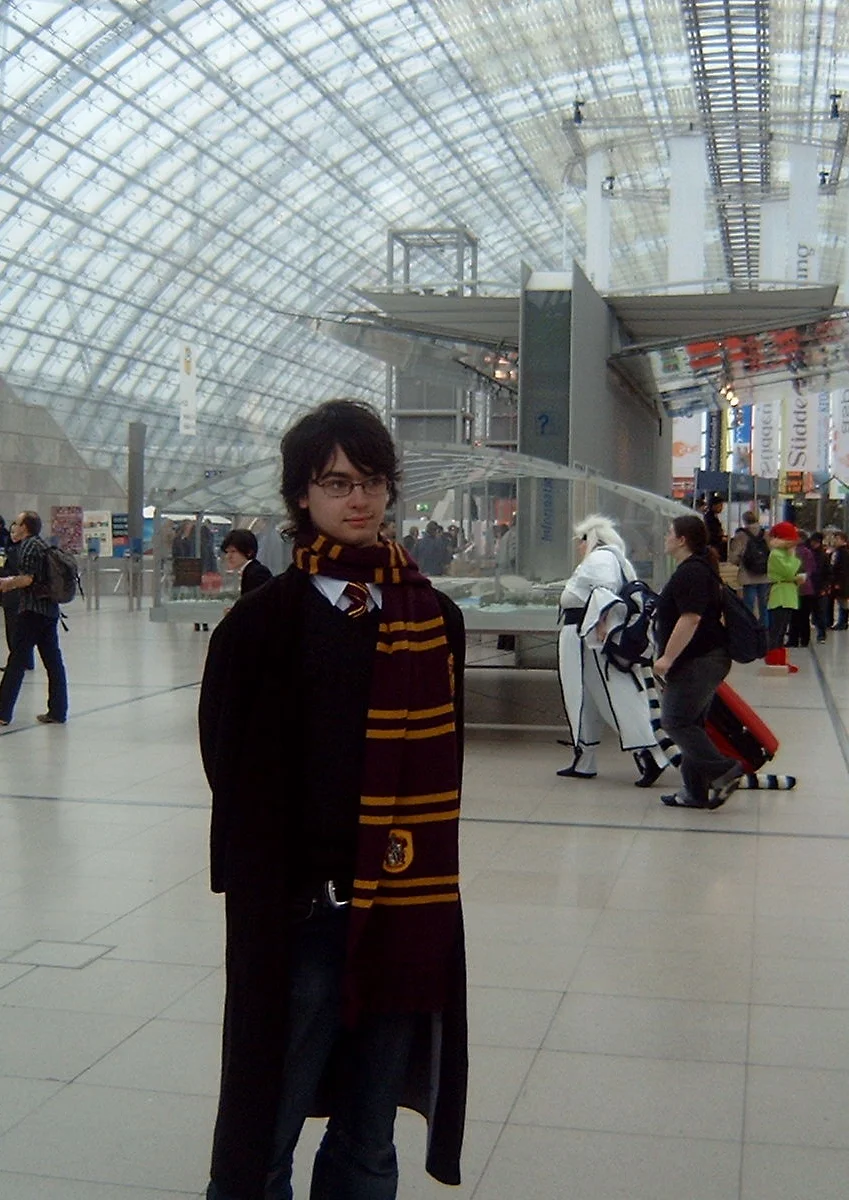 Cosplay-Cover: Griffendor Student