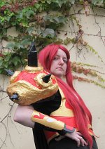 Cosplay-Cover: Paladin (Epic Fail!)