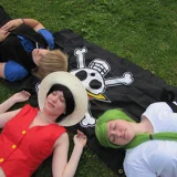 Top-3-Foto - von Robin-swan
