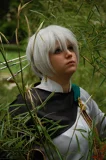 Top-3-Foto - von Redphoenix
