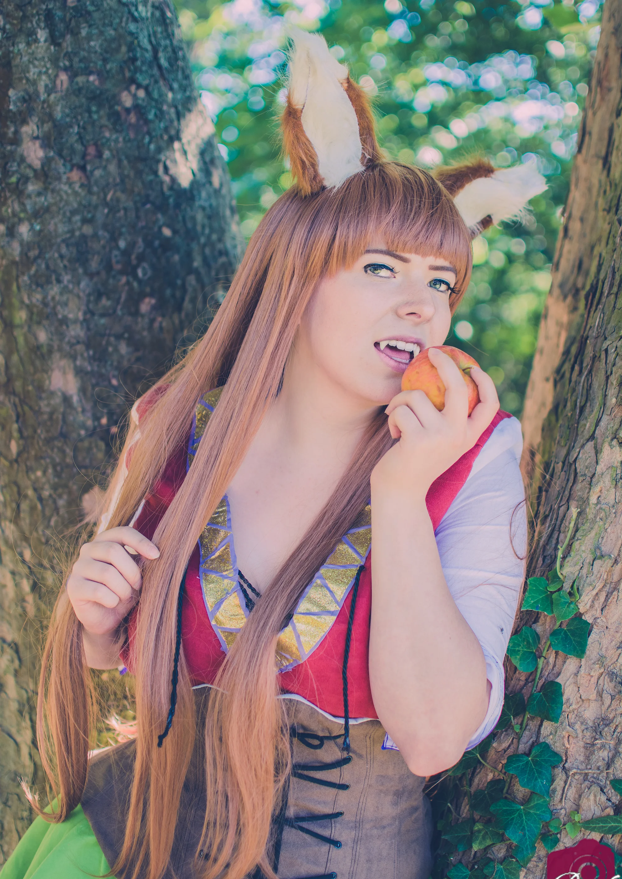 Cosplay-Cover: Holo [Artbook Version]