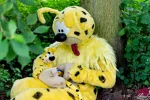 Foto des Kostüms