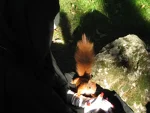 Foto des Kostüms