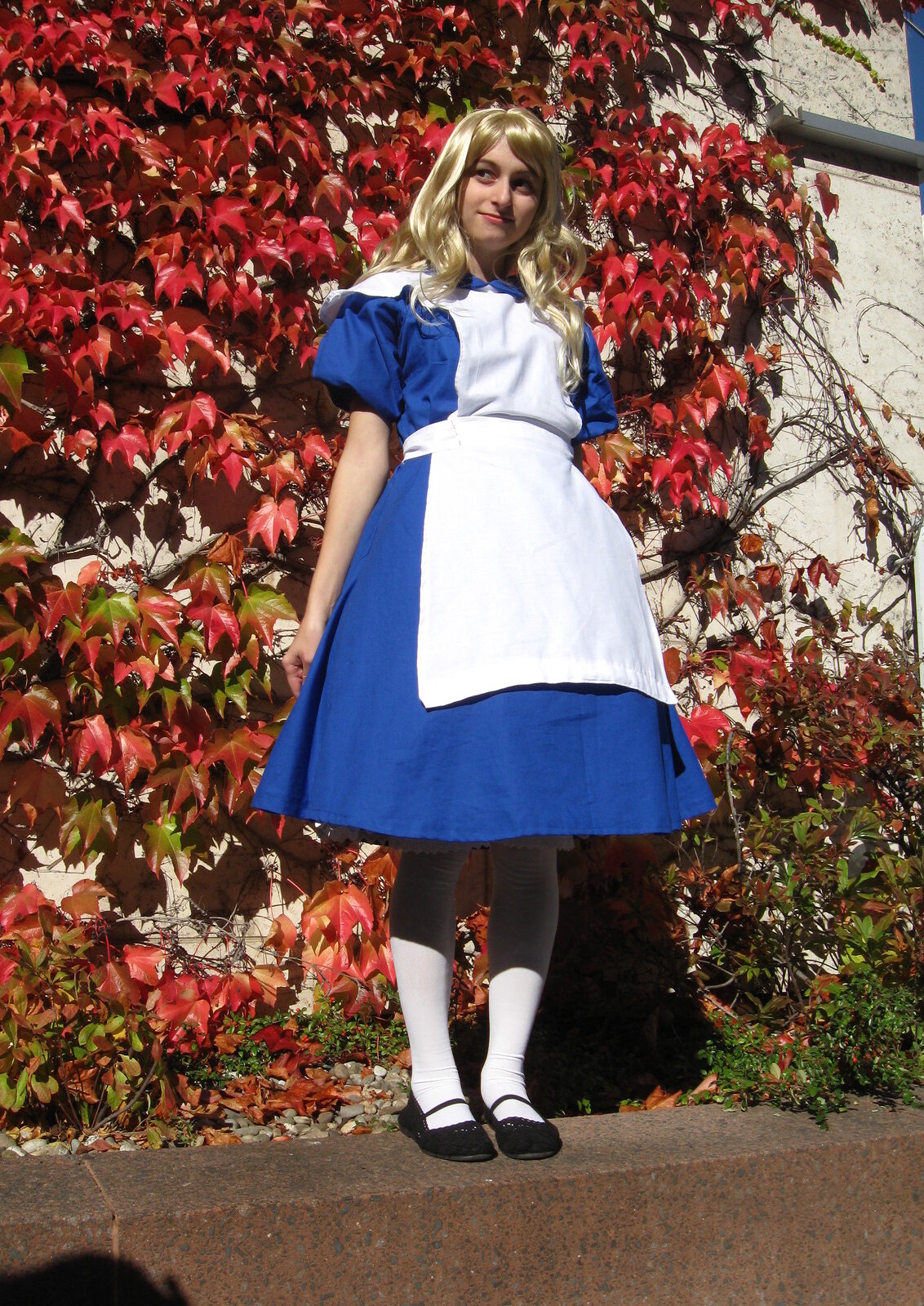 Cosplay-Cover: Alice