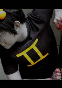 Cosplay-Cover: Sollux Captor ・♊