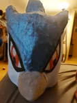 Foto des Kostüms