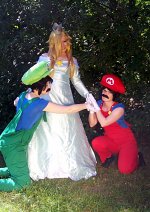 Cosplay-Cover: Luigi