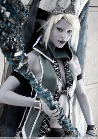 Cosplay-Cover: Dark Elf Gatekeeper