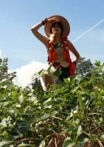 Cosplay-Cover: Monkey D Luffy [Unlimited Cruise]