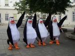 Foto des Kostüms