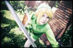 Cosplay-Cover: Link (Wind Waker)