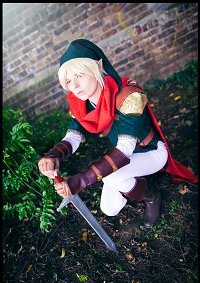 Cosplay-Cover: Link (Knight of Hylia)