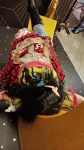 Foto des Kostüms