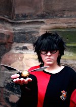Cosplay-Cover: Harry Potter [Feuerkelch]