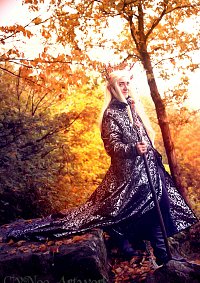 Cosplay-Cover: Thranduil Oropherion
