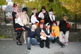 Top-3-Foto - von SHERL0CK