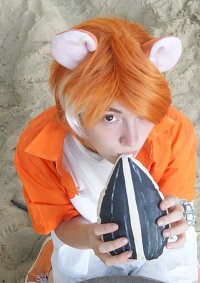 Cosplay-Cover: Hamtaro