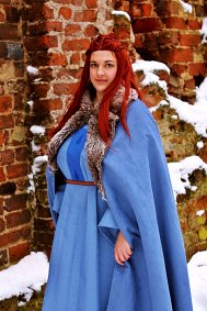 Cosplay-Cover: Sansa Stark