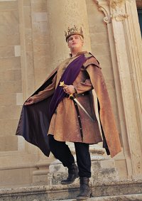 Cosplay-Cover: Joffrey Baratheon [The Lion and the Rose]