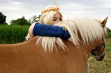 Top-3-Foto - von Princess-Zelda